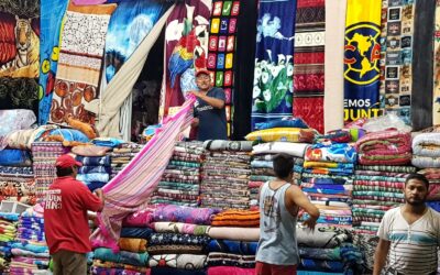 ¡No guarden el cobertor del tigre todavía! Veracruz se alista para una doble dosis de frentes fríos
