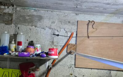 Miedo y desconocimiento: sacrifican a dos víboras en colonia Azteca