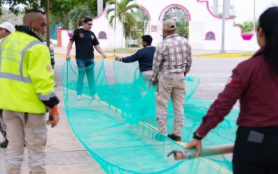 Tuxpan protege a las iguanas del santuario ante las bajas temperaturas que se aproximan