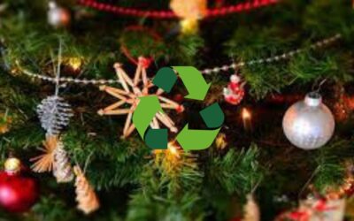 El 10 de enero inicia la campaña Eco Navidad, para reciclar tu árbol