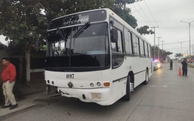 Mastodonte le destroza el trasero a un auto compacto