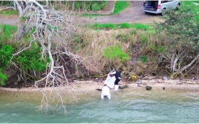 Restos Humanos en la Laguna de Tampamachoco: Investigación en Marcha
