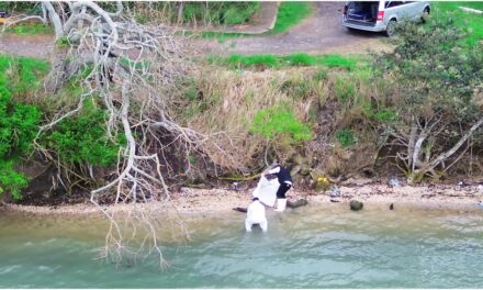 Restos Humanos en la Laguna de Tampamachoco: Investigación en Marcha