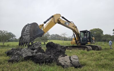 Inicia programa de desazolve de ollas de agua para apoyar a productores agropecuarios de varias comunidades de Tuxpan