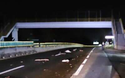 Hombre pierde la vida tras ser atropellado en la autopista México-Tuxpan