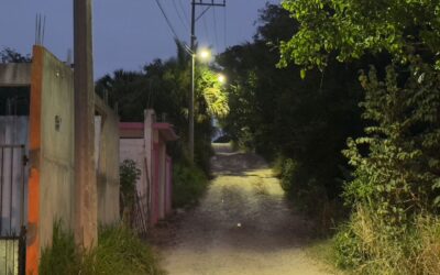 Reparan y cambian luminarias en la Colonia Fidel Herrera Beltrán para mejorar seguridad y calidad de vida