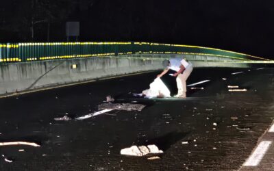 Encuentran sin vida a adulto mayor desaparecido en Paises Bajos
