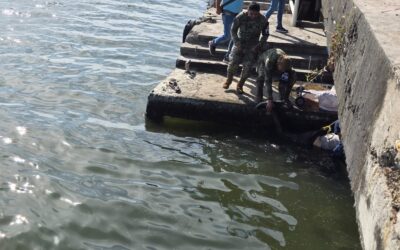 Tuxpan despide en silencio a Fernando, el jubilado que murió en el río