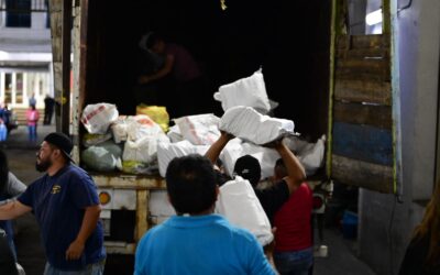OPLE Veracruz envía a destrucción documentación electoral del Proceso 2023-2024