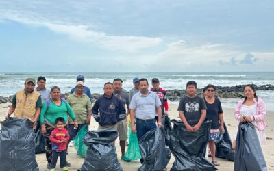 Limpieza de Playas en Tuxpan: Un Esfuerzo Conjunto para el Desarrollo Turístico