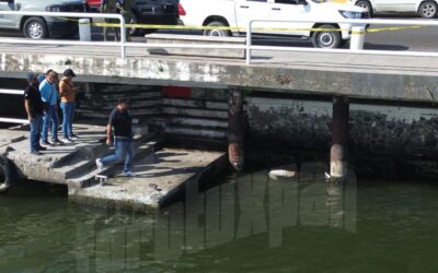 Hallan cuerpo sin vida flotando en el río Tuxpan; autoridades investigan