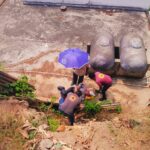 Cae hombre a un barranco en la colonia Anáhuac; fue rescatado por personal de Protección Civil