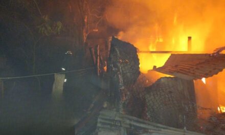 Incendio moviliza a cuerpos de emergencia en la colonia Anáhuac