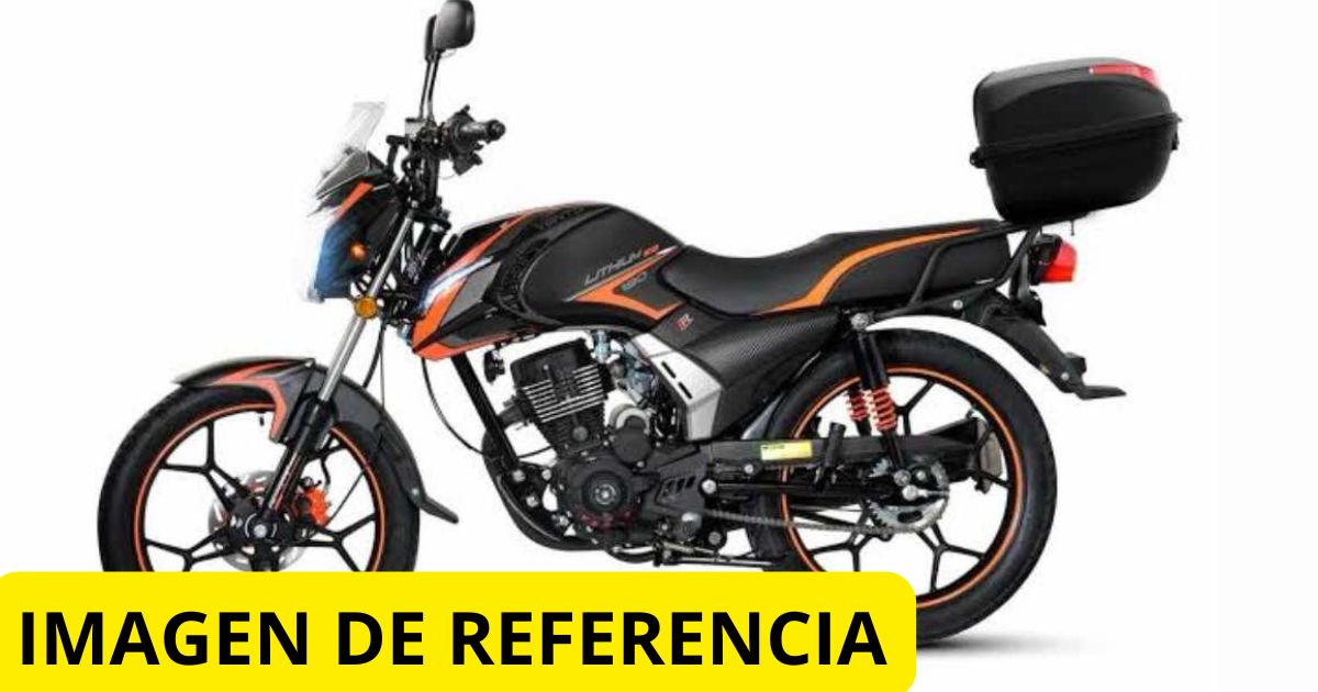 IMAGEN DE REFERENCIA