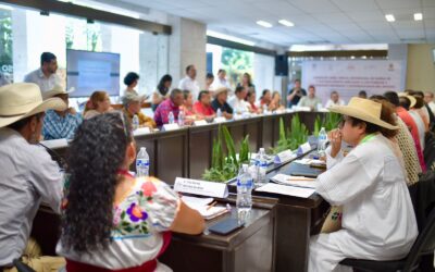 Avanza propuesta de reforma al Artículo 5 constitucional