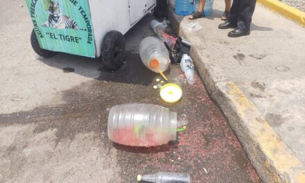 Se llevó al Tigre en la colonia Anáhuac