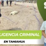 Negligencia criminal en Tamiahua