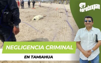 Negligencia criminal en Tamiahua