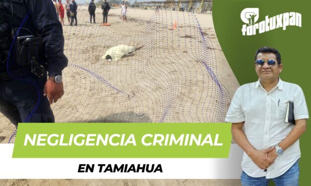 Negligencia criminal en Tamiahua