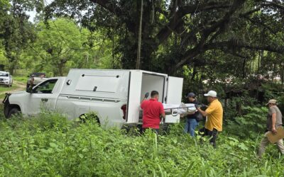 Tragedia en Cruz Naranjos: niña de seis años muere ahogada en una zanja del rancho donde vivía
