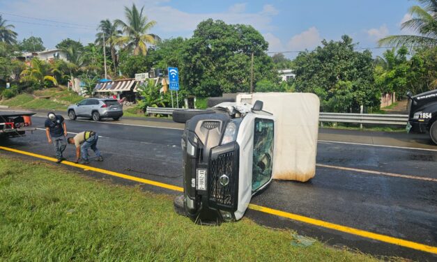 Vuelca camioneta cargada con huevo en la autopista México-Tuxpan; el conductor salió ileso
