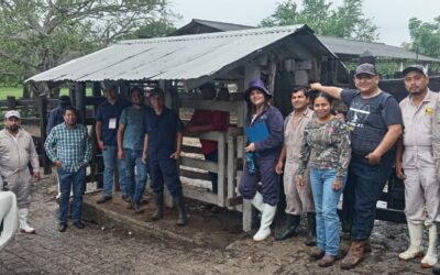 Concluyó la capacitación a médicos veterinarios zootecnistas que participarán en la Campaña Nacional contra la Tuberculosis Bovina