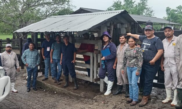 Concluyó la capacitación a médicos veterinarios zootecnistas que participarán en la Campaña Nacional contra la Tuberculosis Bovina