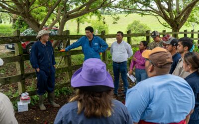 Capacitan a médicos zootecnistas de la región en el manejo de Tuberculosis Bovina