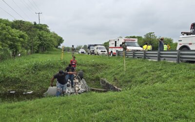 ¡Milagro en la autopista! Mujer vuelca su camioneta y sobrevive gracias a la ayuda ciudadana y paramédicos municipales