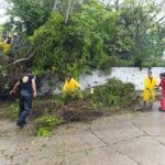 PC y Bomberos atienden afectaciones menores en la ciudad, provocadas por las intensas lluvias