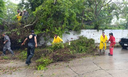 PC y Bomberos atienden afectaciones menores en la ciudad, provocadas por las intensas lluvias