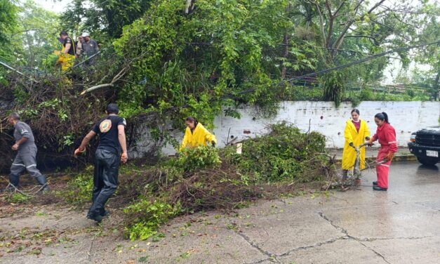 PC y Bomberos atienden afectaciones menores en la ciudad, provocadas por las intensas lluvias