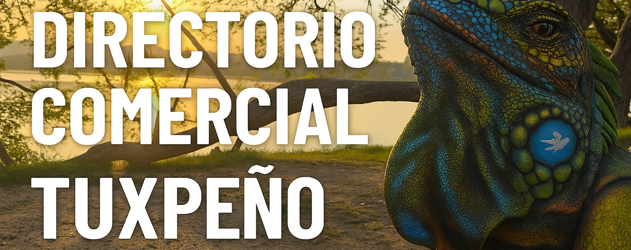 header-directorio