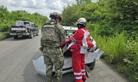 Le dieron por «Detroit Rock City» a un Taxi Tamiahuense: solo daños materiales