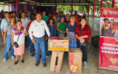 Se entregaron paquetes de pollitas ponedoras a productores de Tuxpan