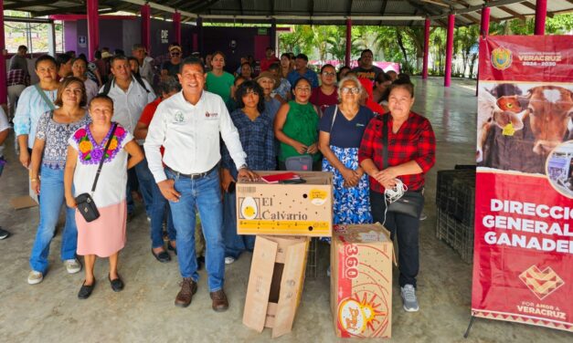 Se entregaron paquetes de pollitas ponedoras a productores de Tuxpan