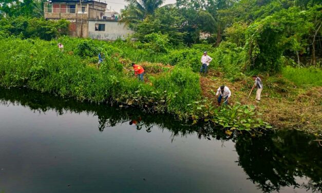 Se intensifica la limpieza de canales y zanjas en varias colonias de la ciudad para reducir el riesgo de inundaciones
