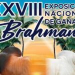 Tuxpan se convierte en capital ganadera con la Exposición Nacional de Ganado Brahman 2025