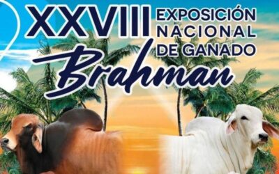 Tuxpan se convierte en capital ganadera con la Exposición Nacional de Ganado Brahman 2025
