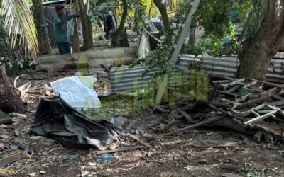 Tragedia en la colonia CANACO: Muere septuagenario al caer mientras desramaba un árbol