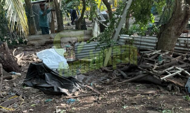 Tragedia en la colonia CANACO: Muere septuagenario al caer mientras desramaba un árbol