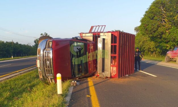 Otra víctima de las “Curvas de la Virgencita” en la Autopista México–Tuxpan