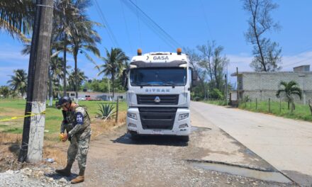 Camión derriba cableado de CFE al intentar retorno en entrada a Playa Mis Amores