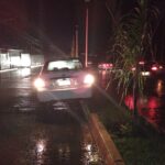 Se sube al camellón y destroza palmeras en el bulevar Demetrio Ruiz Malerva; no hubo lesionados