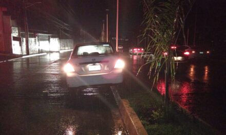 Se sube al camellón y destroza palmeras en el bulevar Demetrio Ruiz Malerva; no hubo lesionados