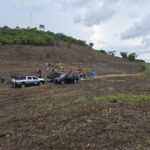 Muere Don Lencho mientras trabajaba en Montes de Armenia