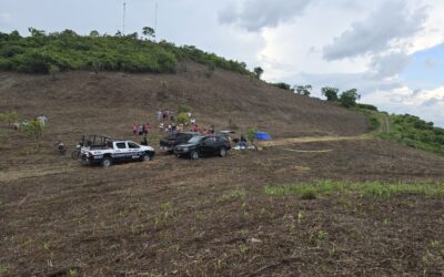 Muere Don Lencho mientras trabajaba en Montes de Armenia