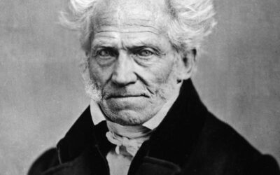 «La envidia en los hombres muestra cuán desdichados se sienten, y su constante atención a lo que hacen o dejan de hacer los demás» – Arthur Schopenhauer