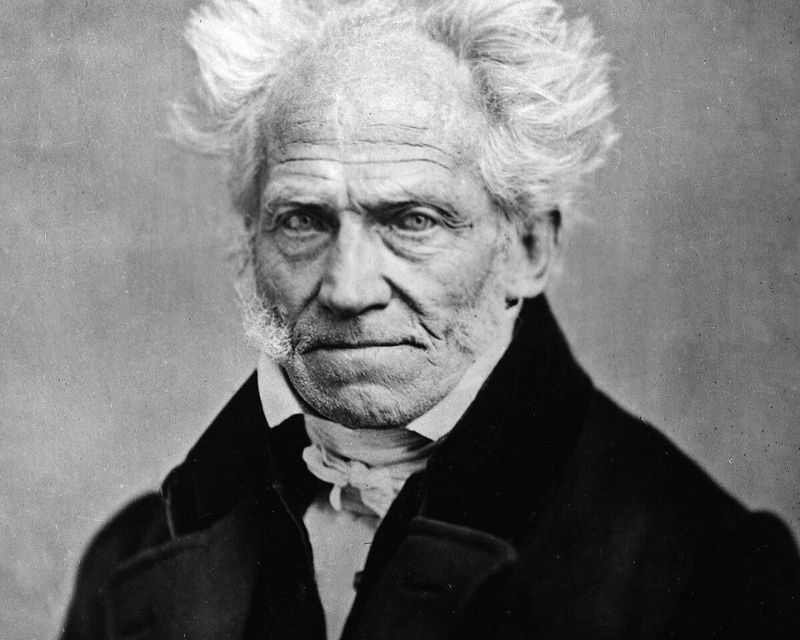«La envidia en los hombres muestra cuán desdichados se sienten, y su constante atención a lo que hacen o dejan de hacer los demás» – Arthur Schopenhauer