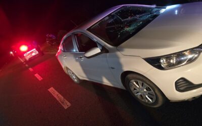 Emboscada a Guardia Nacional en la autopista Tuxpan-Tampico desata fuerte operativo